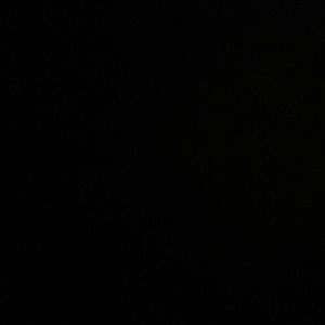 Meet your Posher, Soheila